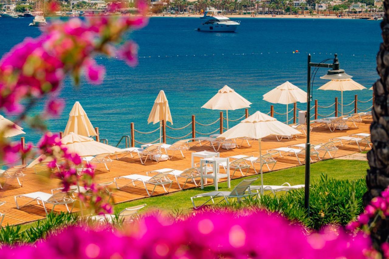 Complex Baia Bodrum